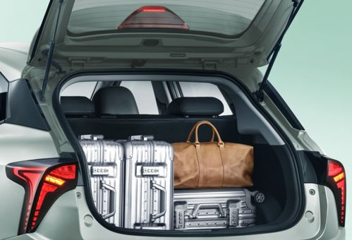 新勢(shì)力不止“蔚小理”，純電代步小車市場(chǎng)還有這些實(shí)力選擇